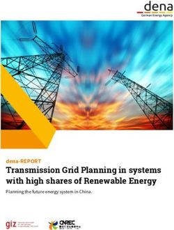 Transmission Grid Planning in systems with high shares of Renewable Energy - dena-REPORT