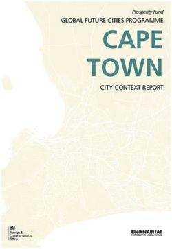 CAPE TOWN GLOBAL FUTURE CITIES PROGRAMME - Prosperity Fund