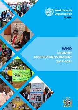 WHO COUNTRY COOPERATION STRATEGY 2017-2021 - Zambia - World Health ...