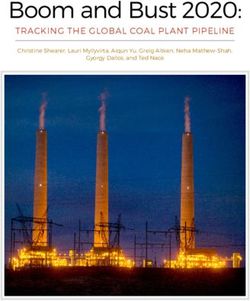 Boom and Bust 2020: TRACKING THE GLOBAL COAL PLANT PIPELINE - Christine Shearer, Lauri Myllyvirta, Aiqun Yu, Greig Aitken, Neha Mathew-Shah, End ...