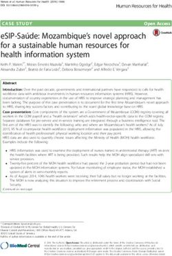 ESIP-Saúde: Mozambique's novel approach for a sustainable human resources for health information system