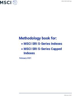 Methodology Book For: MSCI SRI S-Series Indexes MSCI SRI S-Series ...