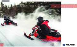 2019 INTERNATIONAL SNOWMOBILES