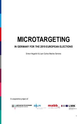 MICROTARGETING IN GERMANY FOR THE 2019 EUROPEAN ELECTIONS - Simon Hegelich & Juan Carlos Medina Serrano - Landesanstalt für Medien NRW