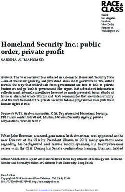Homeland Security Inc.: public order, private profit