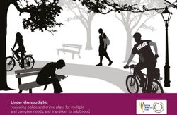 Reviewing police and crime plans for multiple and complex needs, and transition to adulthood - Under the spotlight