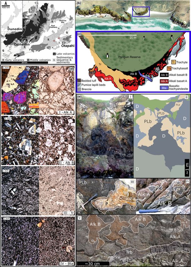 Pre-eruption Magma Staging At The Long-lived Intraplate Dunedin Volcano ...