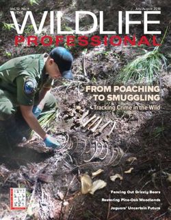 FROM POACHING TO SMUGGLING - Tracking Crime in the Wild - Fencing Out Grizzly Bears - Conservation Criminology