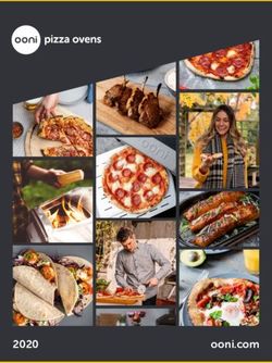 Ooni.com 2020 - Stan Brouard