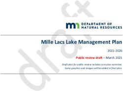 Mille Lacs Lake Management Plan - 2021-2026 Public review draft - March 2021 - MN DNR