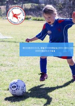 KINGS LANGLEY SOCCER FOOTBALL CLUB 2019 HANDBOOK - Kings Langley Soccer ...