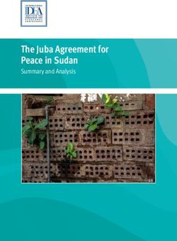 The Juba Agreement for Peace in Sudan - Summary and Analysis International Institute for Democracy and Electoral Assistance - International IDEA