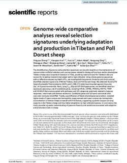 Genome wide comparative analyses reveal selection signatures underlying adaptation and production in Tibetan and Poll Dorset sheep
