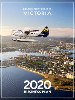 2020BUSINESS PLAN - Tourism Victoria