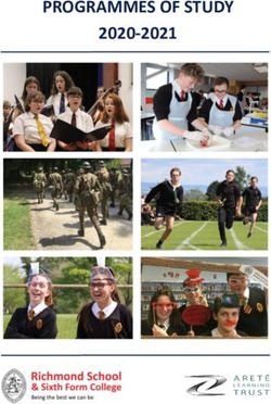 PROGRAMMES OF STUDY 2020-2021 - Richmond School