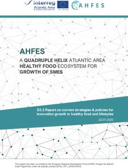 AHFES A QUADRUPLE HELIX ATLANTIC AREA HEALTHY FOOD ECOSYSTEM FOR GROWTH OF SMES