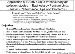 Application of RAMS 4.28 to transboudary air pollution studies in East Asia by Pentium Linux Cluster - Performance, Tips and Problems