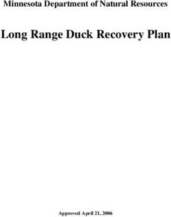 Long Range Duck Recovery Plan - Minnesota Department of Natural Resources - Approved April 21, 2006