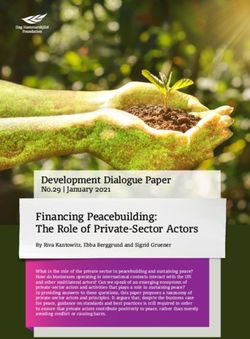 Financing Peacebuilding: The Role of Private-Sector Actors