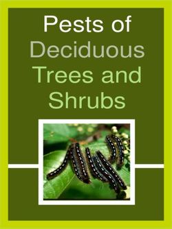Pests of Deciduous Trees and - Shrubs - Agriculture and Forestry