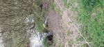 ECOLOGICAL IMPACT ASSESSMENT (ECIA) OF FLOOD IMPROVEMENT WORKS ANNE VALLEY WALKWAY, DUNHILL, CO.WATERFORD. BY JOHN DERWIN BSC., MSC. AGR. APRIL ...