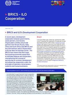X BRICS - ILO Cooperation