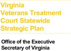 Virginia Veterans Treatment Court Statewide Strategic Plan - Office of the Executive Secretary of Virginia