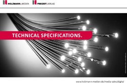 TECHNICAL SPECIFICATIONS - www.holzmann-medien.demedia-sales/digital - Holzmann Medien