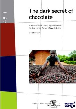 The dark secret of chocolate - No. 12