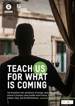 TEACH US FOR WHAT IS COMING - The transition into adulthood of foreign unaccompanied minors in Europe: case studies from France, Greece, Ireland ...