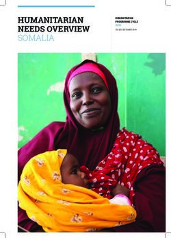 HUMANITARIAN NEEDS OVERVIEW SOMALIA - HUMANITARIAN PROGRAMME CYCLE 2020 - ReliefWeb