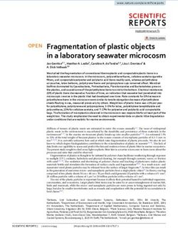 Fragmentation of plastic objects in a laboratory seawater microcosm