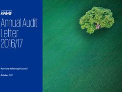 Annual Audit Letter 2016/17 - Runnymede Borough Council October 2017