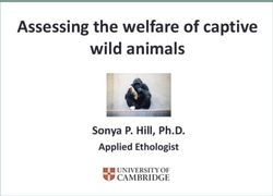 Assessing the welfare of captive wild animals - Sonya P. Hill, Ph.D. Applied Ethologist