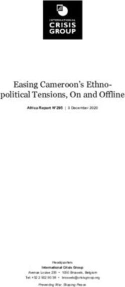 Easing Cameroon's Ethno-political Tensions, On and Offline - ReliefWeb