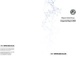 Nippon Soda Group Integrated Report 2020