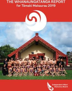 THE WHANAUNGATANGA REPORT - for Tāmaki Makaurau 2019 - Knowledge Auckland