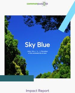 Sky Blue - Impact Report - /skʌɪˈbluː/ n. 1. The colour - Common Purpose