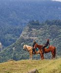 THE RIVER VALLEY RIDE NORTH ISLAND, NEW ZEALAND