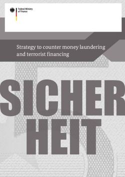 Nationale Risikoanalyse and terrorist financing 2018