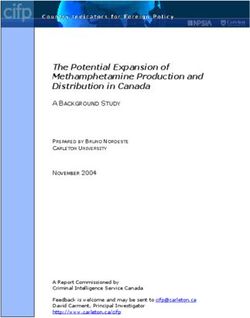 The Potential Expansion of Methamphetamine Production and Distribution in Canada