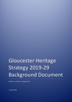 Gloucester Heritage Strategy 2019-29 Background Document - Evidence, Analysis, Engagement