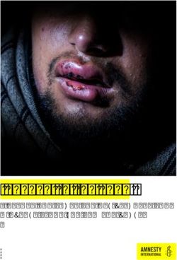 PUSHED TO THE EDGE VIOLENCE AND ABUSE AGAINST REFUGEES AND MIGRANTS ALONG THE BALKANS ROUTE - Amnesty International Österreich