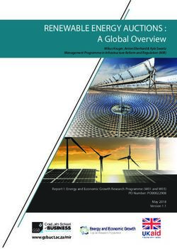 RENEWABLE ENERGY AUCTIONS