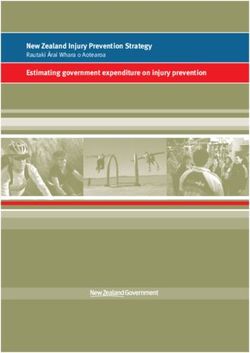 New Zealand Injury Prevention Strategy - Rautaki A rai Whara o Aotearoa Estimating government expenditure on injury prevention - The Hub