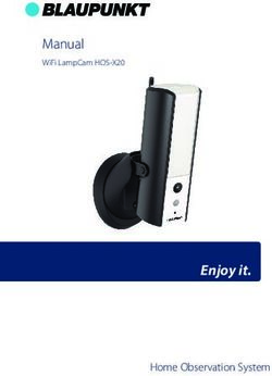 ENJOY IT - MANUAL WIFI LAMPCAM HOS-X20 - BLAUPUNKT
