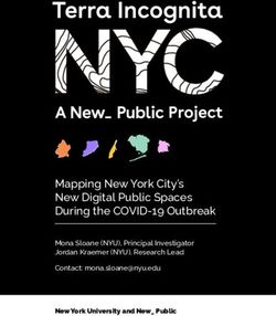 Mapping New York City's New Digital Public Spaces During the COVID-19 Outbreak - Mona Sloane (NYU), Principal Investigator Jordan Kraemer (NYU) ...
