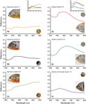 Hyperspectral data as a biodiversity screening tool can differentiate among diverse Neotropical fishes