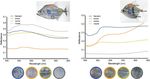 Hyperspectral data as a biodiversity screening tool can differentiate among diverse Neotropical fishes