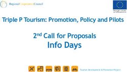 Info Days 2nd Call for Proposals - Triple P Tourism: Promotion, Policy and Pilots - Regional Cooperation Council